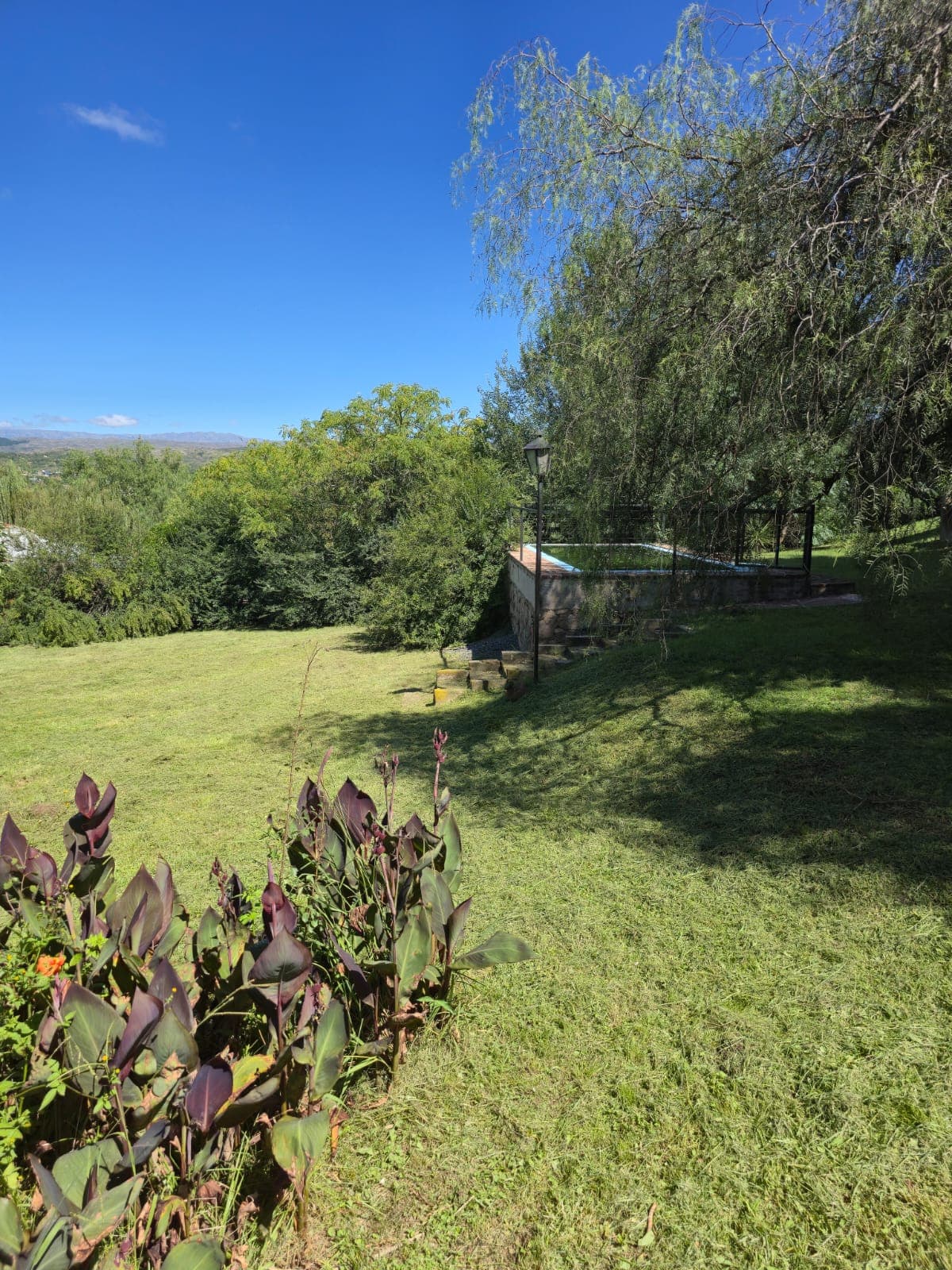 Lote 1